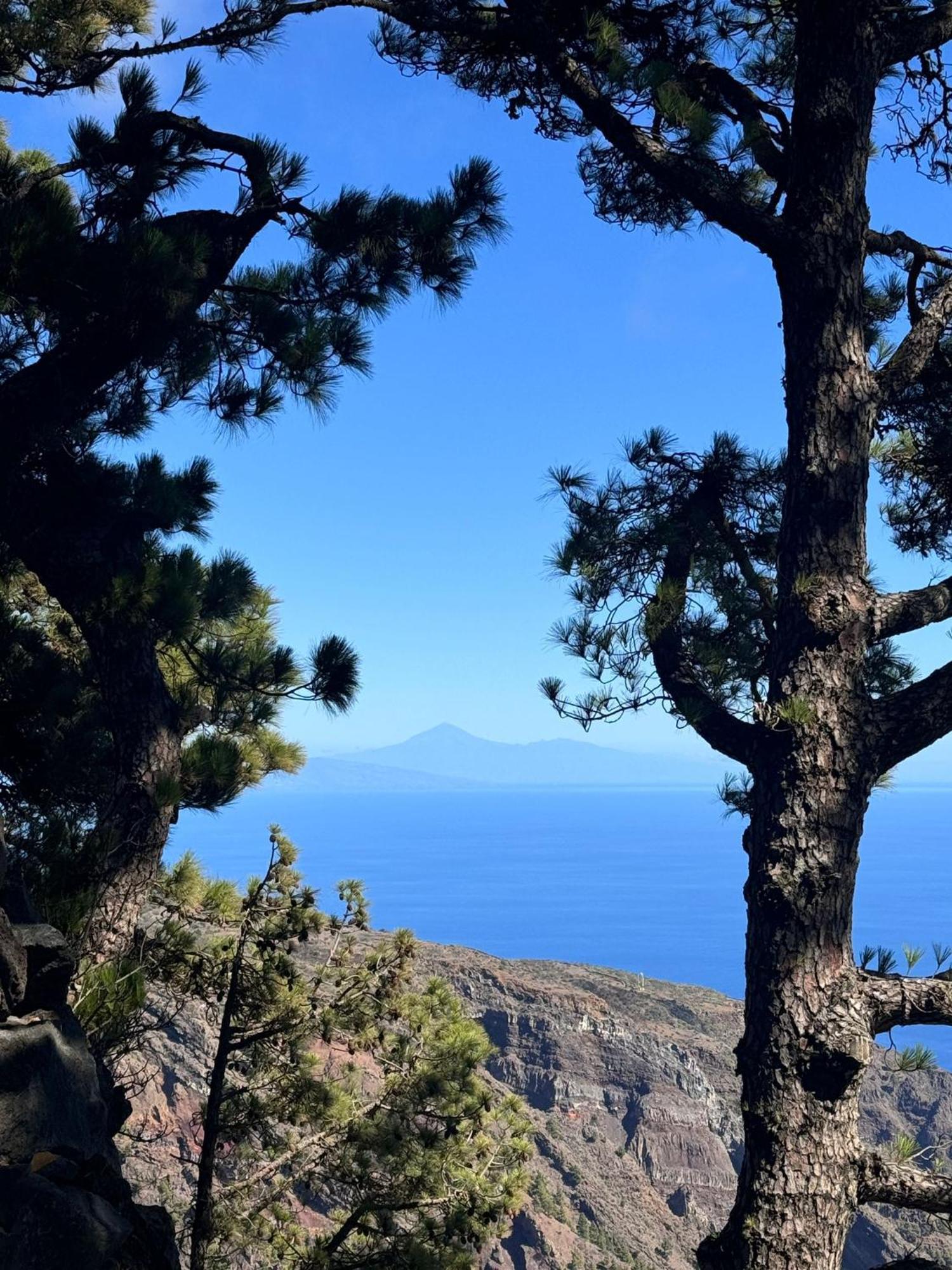 Apartamento El Rincon لا ريستينجا الغرفة الصورة